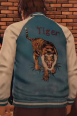 judgement-tiger-blue-jacket