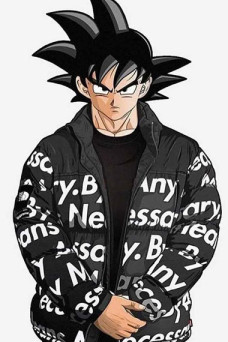 Dragon Ball Z Anime Goku Kakarot Drip Quilted Puffer Jacket