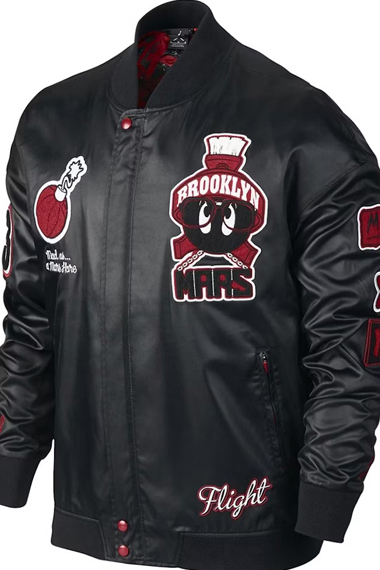 Marvin The Martian Air Jordan Bomber Leather Jacket