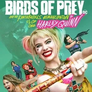 Birds Of Prey Costumes And Outfits Collections