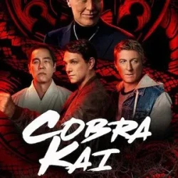 Cobra Kai Jackets (9)